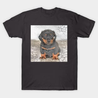 Cute puppy painting (pet, dog, pretty and hiking) T-Shirt